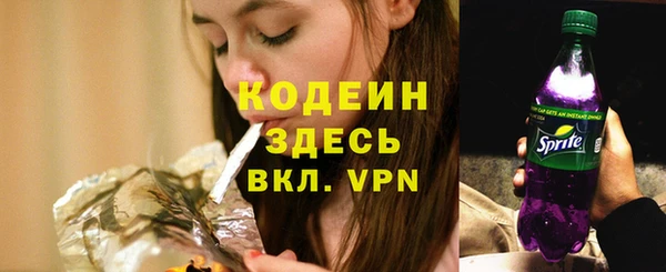 амф Арсеньев