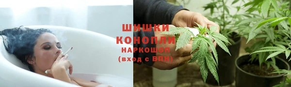 сатива Армянск