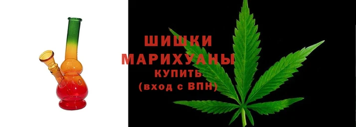 амф Арсеньев