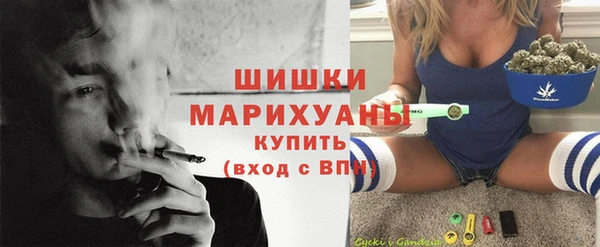 сатива Армянск