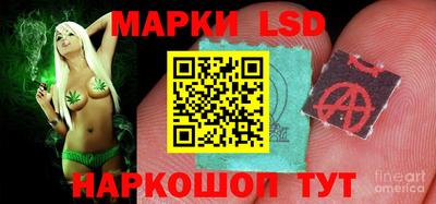 jwh Кимры