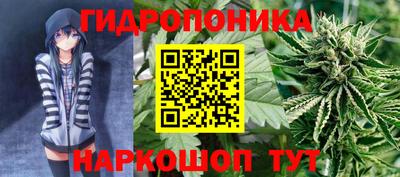 jwh Кимры